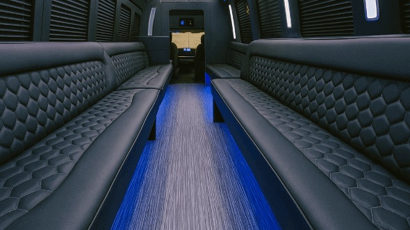 Interior of Buffalo Party Bus Company's 25 Passenger Party Bus in Buffalo