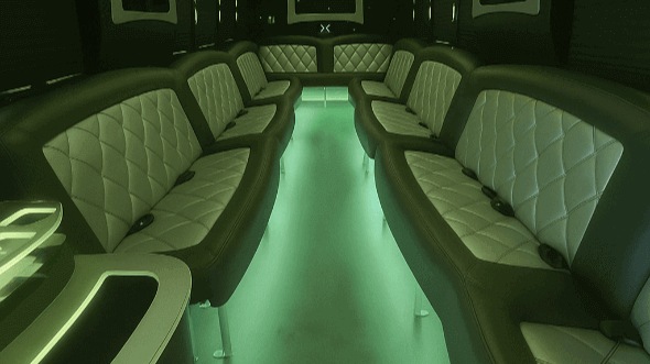 Rochester 30 passenger party bus interior