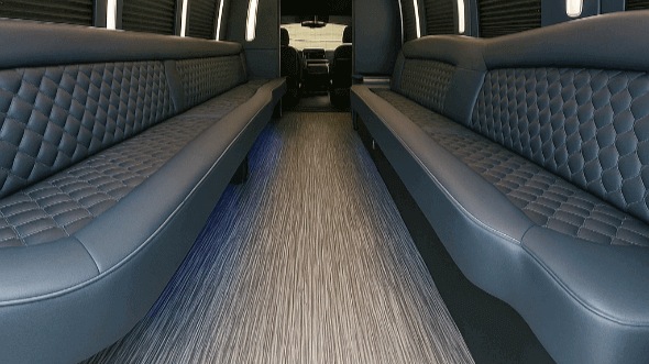 rochester 30 passenger party bus rental
