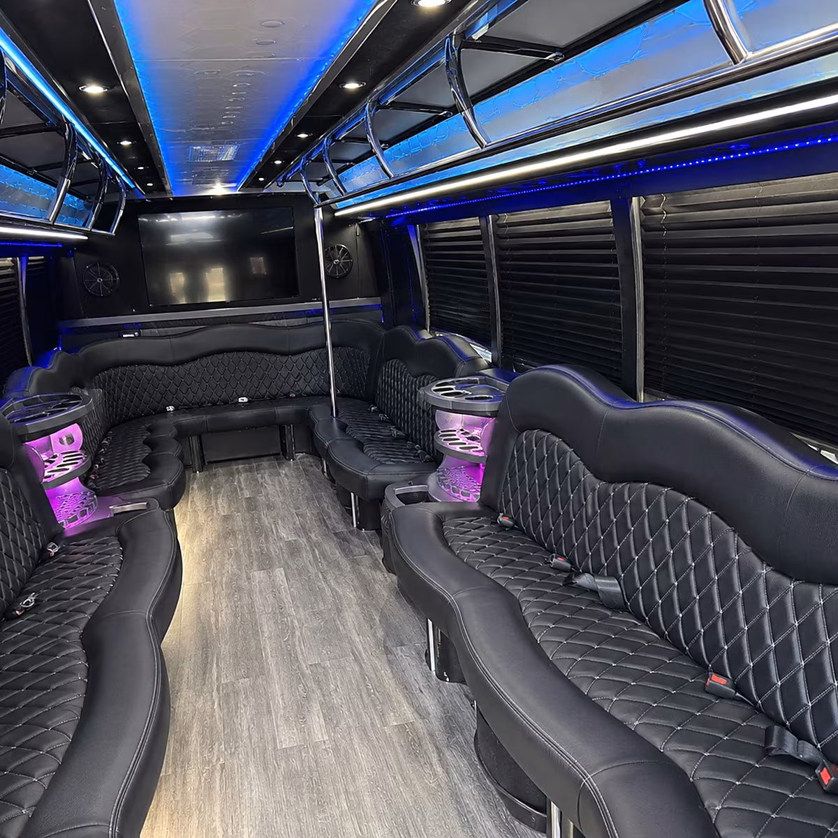 Group beside a Mercedes Sprinter limo in Rochester
