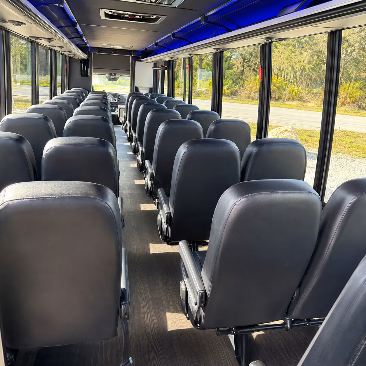 Rochester School Event Transportation party bus interior